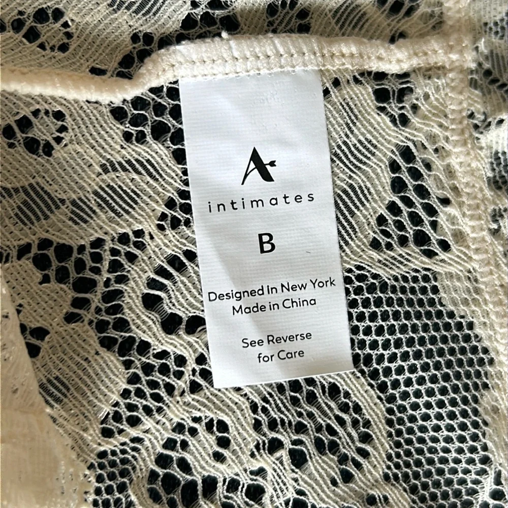 NWT Arula stretch lace cheeky panty, Arula size B, 2X